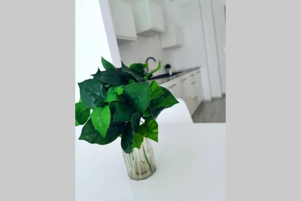 Green Apartment Promenada Gwiazd- Widok Na Morze. Miedzyzdroje Ngoại thất bức ảnh
